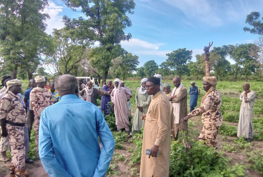 Tchad -  Mandoul : Le Préfet Boukar Adoum Tchéré s'engage pour la paix entre éleveurs et agriculteurs Tchad -  Mandoul : Le Préfet Boukar Adoum Tchéré s'engage pour la paix entre éleveurs et agriculteurs