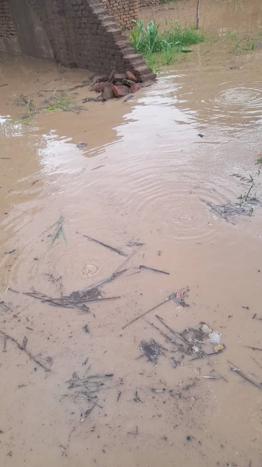 Tchad - Inondations catastrophiques à Aradib : le Bahar Azoum déborde et met des vies en danger Tchad - Inondations catastrophiques à Aradib : le Bahar Azoum déborde et met des vies en danger