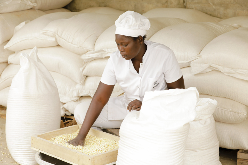 Burkina Faso : la BAD met en place un projet exceptionnel de 39 millions $ pour soutenir la résilience Burkina Faso : la BAD met en place un projet exceptionnel de 39 millions $ pour soutenir la résilience