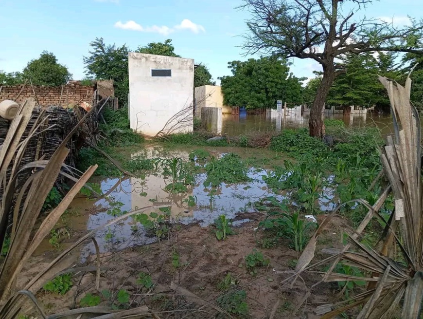 Tchad : Koukou-Angarana sous les eaux, un appel à l'aide urgent Tchad : Koukou-Angarana sous les eaux, un appel à l'aide urgent
