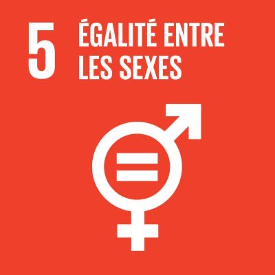 Afrique: participation mitigée des femmes en politique Afrique: participation mitigée des femmes en politique
