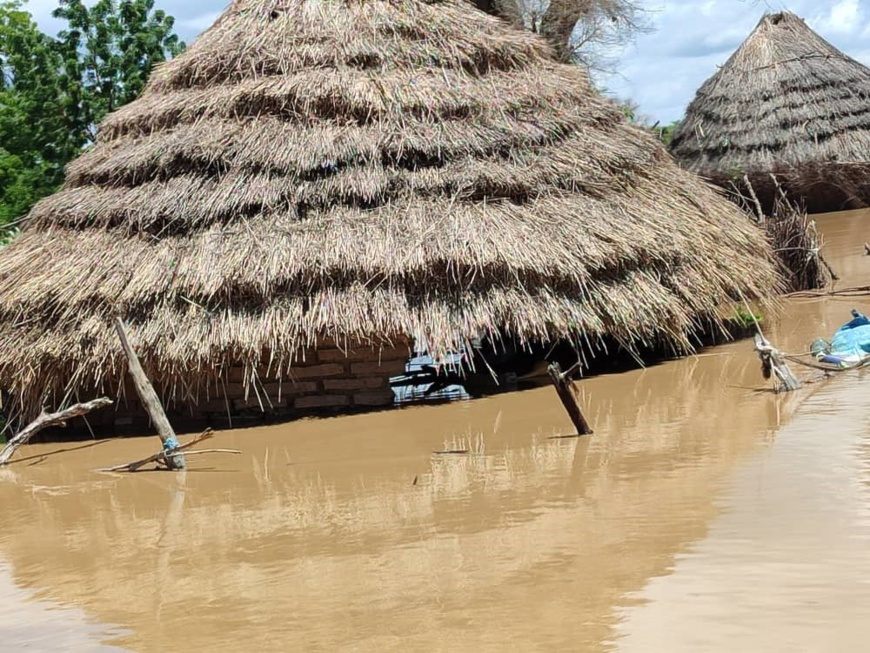 Images : OMS Tchad - Organisation mondiale de la Santé @OmsTchad Images : OMS Tchad - Organisation mondiale de la Santé @OmsTchad