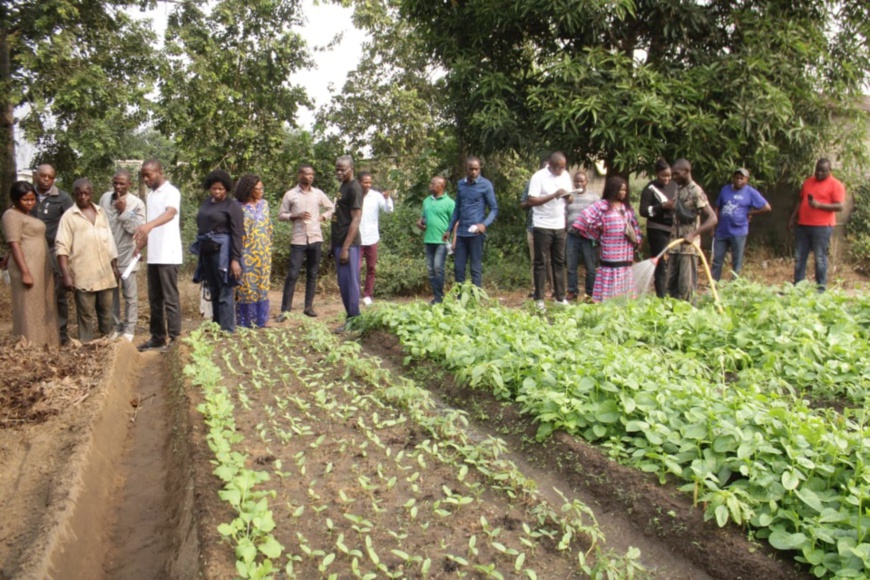 Une vue des jeunes formés en maraîchage par le FONEA Une vue des jeunes formés en maraîchage par le FONEA