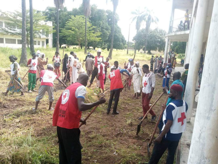 Tchad : la Croix-Rouge assiste des sinistres d’inondations à Sarh Tchad : la Croix-Rouge assiste des sinistres d’inondations à Sarh