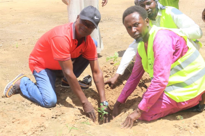 Tchad - Dar Alkher : Un souffle de vie pour le Batha à l'occasion de la Semaine Nationale de l'Arbre Tchad - Dar Alkher : Un souffle de vie pour le Batha à l'occasion de la Semaine Nationale de l'Arbre