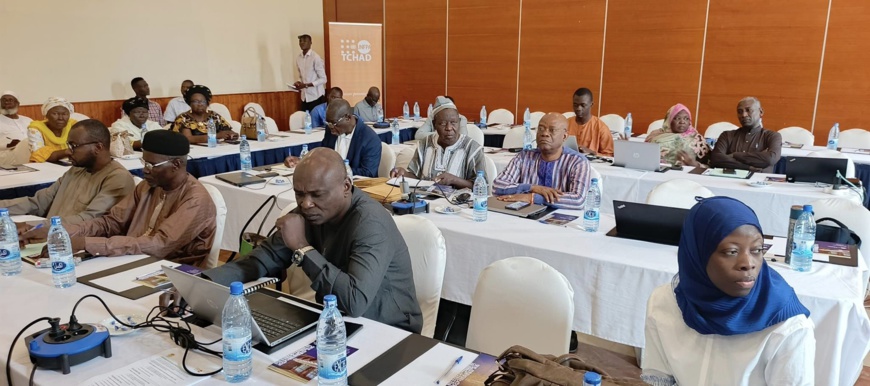 Tchad : Le personnel sanitaire renforce ses capacités dans la planification familiale Tchad : Le personnel sanitaire renforce ses capacités dans la planification familiale