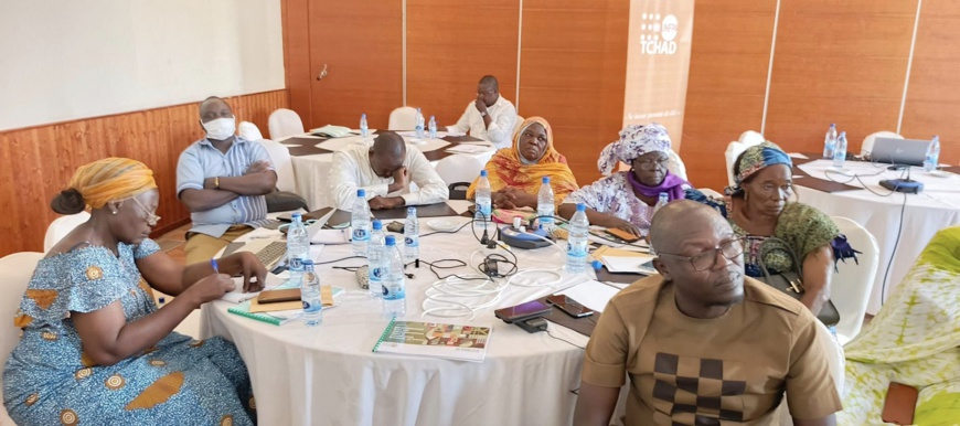 Tchad : La planification familiale, un investissement rentable Tchad : La planification familiale, un investissement rentable