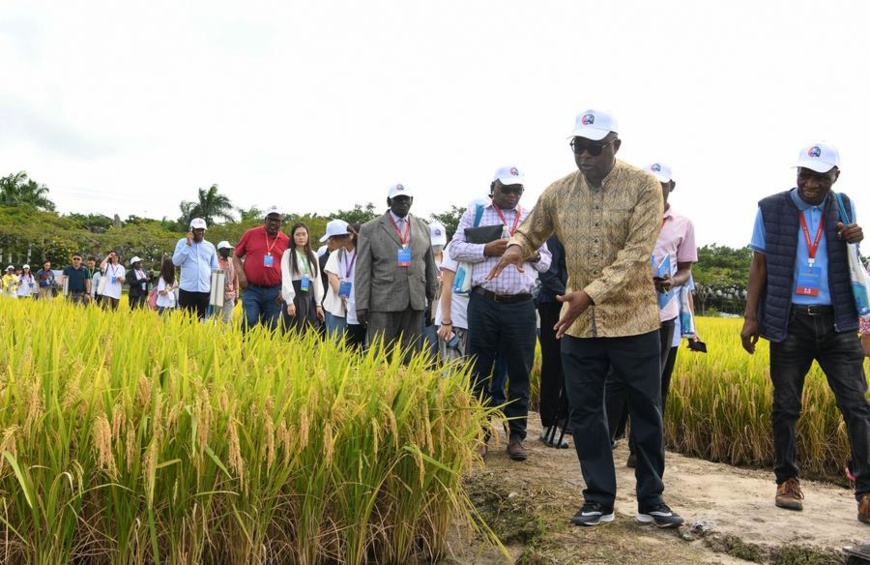 Participants of the 2nd Forum on China-Africa Cooperation in Agriculture visit the Paddy Field National Park in Sanya, south China's Hainan Province, Nov. 14, 2023. (Xinhua/Yang Guanyu) Participants of the 2nd Forum on China-Africa Cooperation in Agriculture visit the Paddy Field National Park in Sanya, south China's Hainan Province, Nov. 14, 2023. (Xinhua/Yang Guanyu)