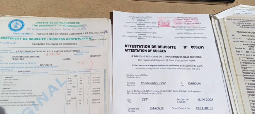 Cameroun-Tchad : La lutte contre la fraude documentaire s'intensifie Cameroun-Tchad : La lutte contre la fraude documentaire s'intensifie