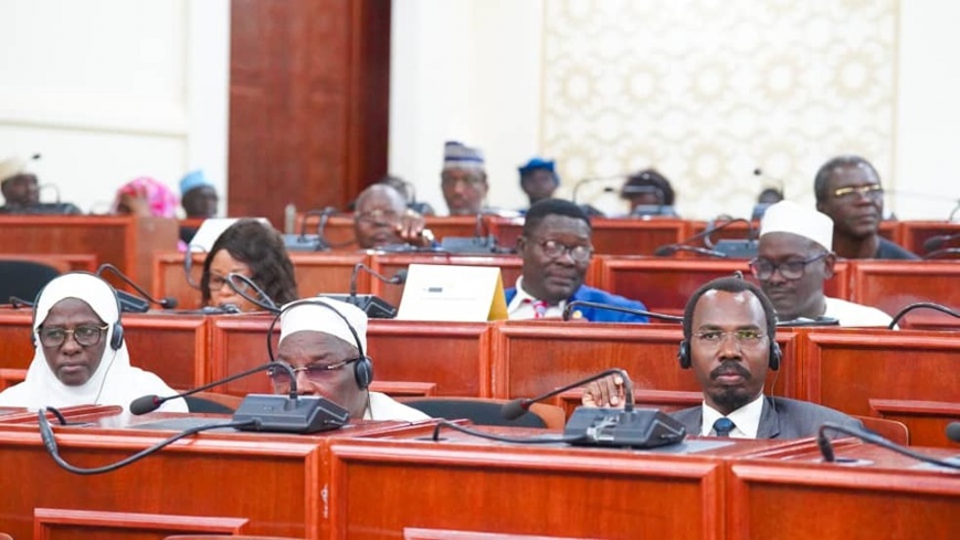 Tchad : la dissolution de l’ONAJES approuvée par les conseillers nationaux Tchad : la dissolution de l’ONAJES approuvée par les conseillers nationaux