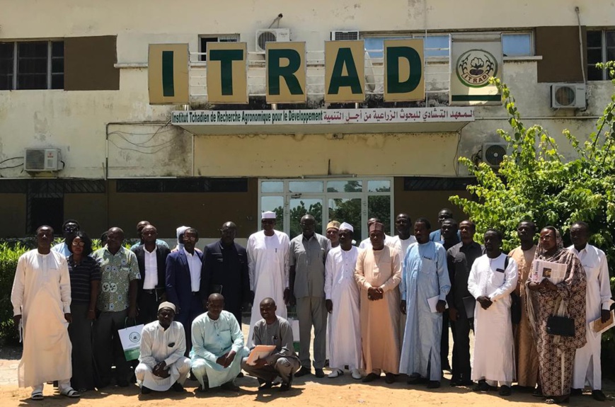 Tchad : L'ITRAD et les universités d'Ati et Sarh unissent leurs efforts pour le développement agricole Tchad : L'ITRAD et les universités d'Ati et Sarh unissent leurs efforts pour le développement agricole