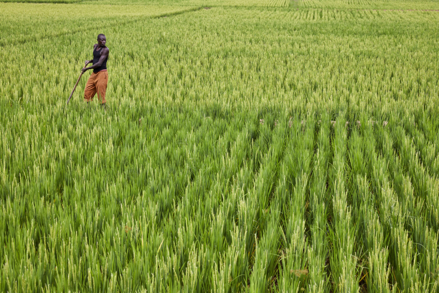 Burundi - Rwanda : 323 millions $ pour développer l’agriculture, les transports et les échanges commerciaux Burundi - Rwanda : 323 millions $ pour développer l’agriculture, les transports et les échanges commerciaux