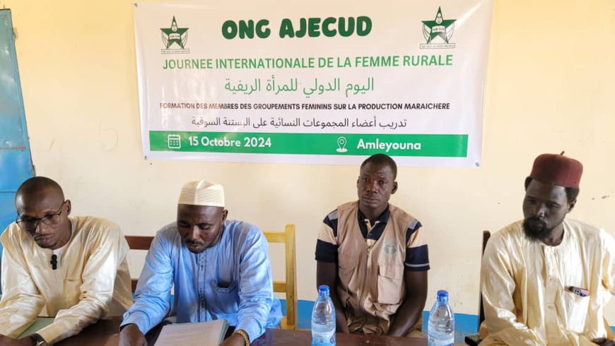 Tchad : au Ouaddaï, l'ONG AJECUD renforce les capacités des femmes rurales sur la production maraîchère