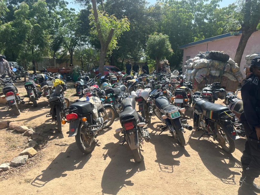 Cameroun - Opération de sécurisation à grande échelle à Guider : Bilan éloquent de la police Cameroun - Opération de sécurisation à grande échelle à Guider : Bilan éloquent de la police