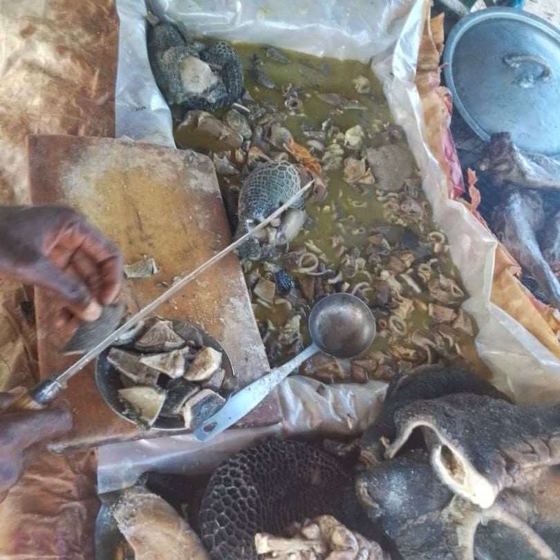 Tchad : les tripes de viande, un aliment indispensable pour les habitants de N’Djamena Tchad : les tripes de viande, un aliment indispensable pour les habitants de N’Djamena