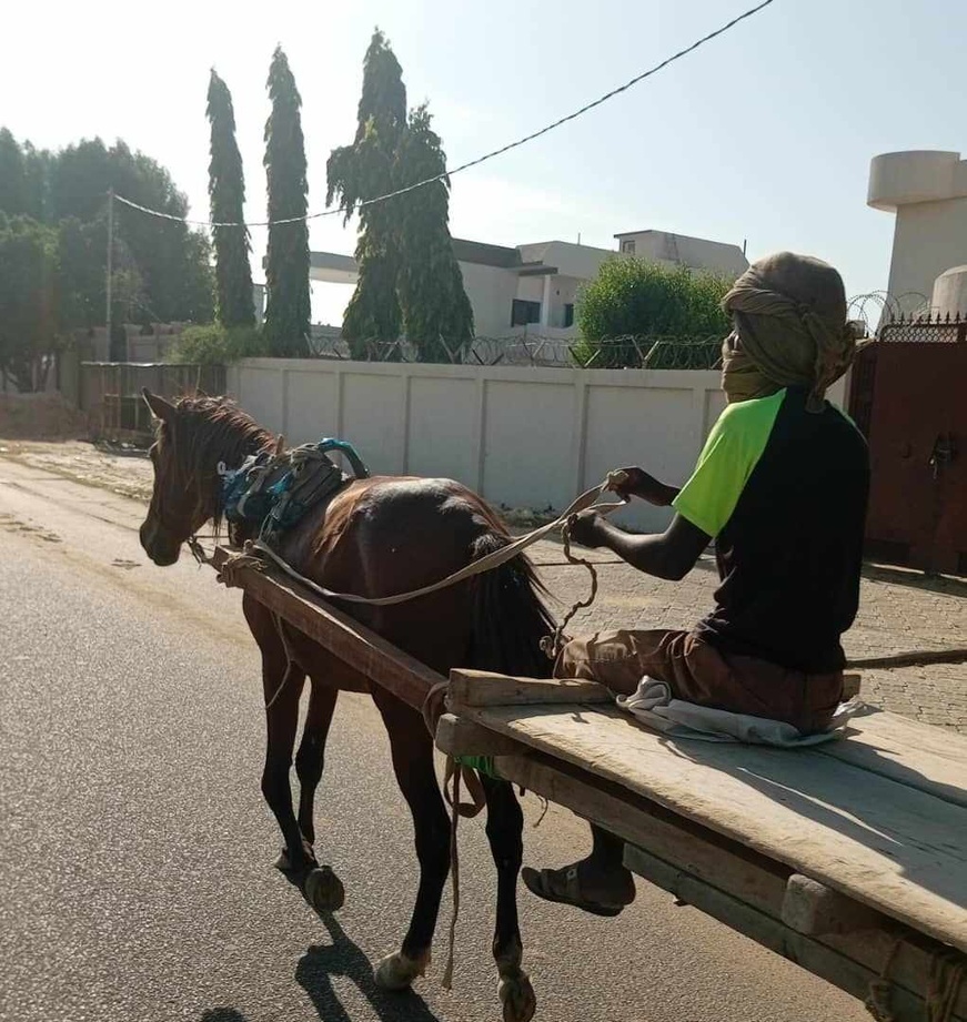 Tchad : éducation ou survie, le dilemme des enfants travailleurs Tchad : éducation ou survie, le dilemme des enfants travailleurs