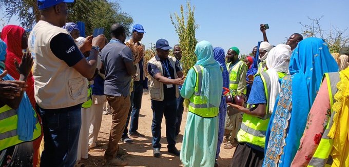 Tchad : Découvrez comment un agriculteur a épargné plus de 300 milles Frs en seulement 3 mois grâce à la vente de tomates et de piments Tchad : Découvrez comment un agriculteur a épargné plus de 300 milles Frs en seulement 3 mois grâce à la vente de tomates et de piments