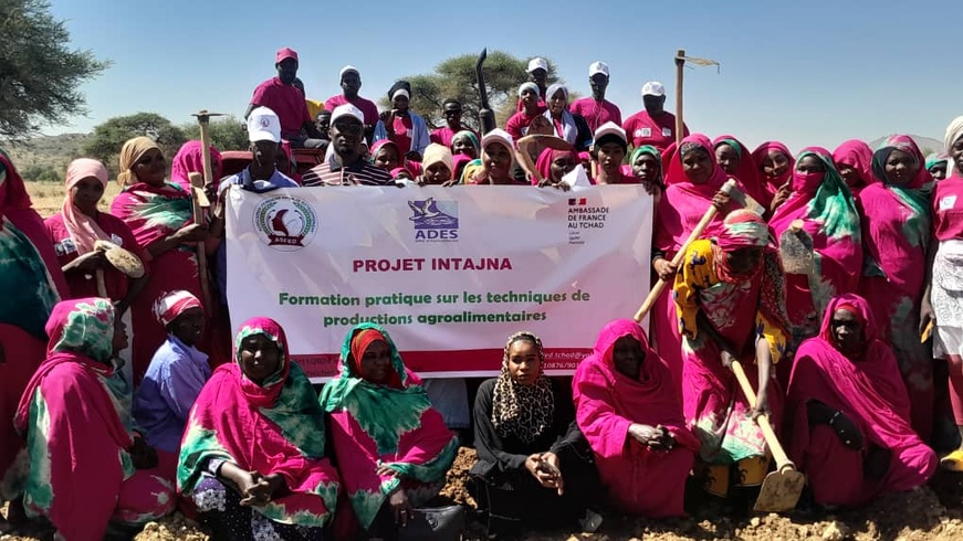 Tchad - Le projet Intadjna : un élan pour l'autonomisation des femmes au Ouaddaï Tchad - Le projet Intadjna : un élan pour l'autonomisation des femmes au Ouaddaï