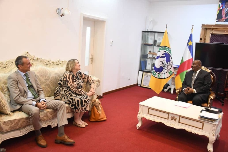RCA : Touadéra reçoit la délégation de l'EUAM et réaffirme le partenariat avec l'UE RCA : Touadéra reçoit la délégation de l'EUAM et réaffirme le partenariat avec l'UE