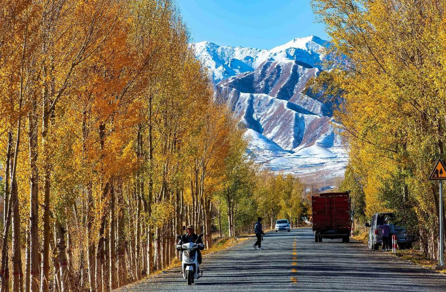 Photo taken on Oct. 22, 2024 shows a rural road in Huazhai village, Huazhai township, Ganzhou district, Zhangye, northwest China's Gansu province. (Photo by Yang Xiao/People's Daily Online) Photo taken on Oct. 22, 2024 shows a rural road in Huazhai village, Huazhai township, Ganzhou district, Zhangye, northwest China's Gansu province. (Photo by Yang Xiao/People's Daily Online)