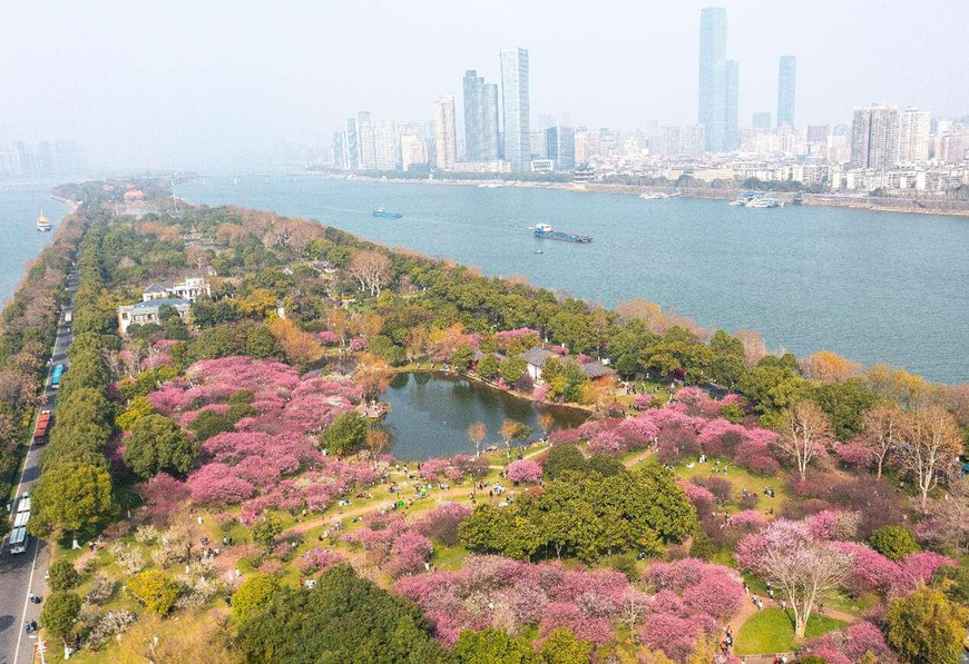 Aerial photo shows a view of Juzizhou Islet in Changsha, central China's Hunan province. (Photo by Fu Cong/People's Daily Online) Aerial photo shows a view of Juzizhou Islet in Changsha, central China's Hunan province. (Photo by Fu Cong/People's Daily Online)