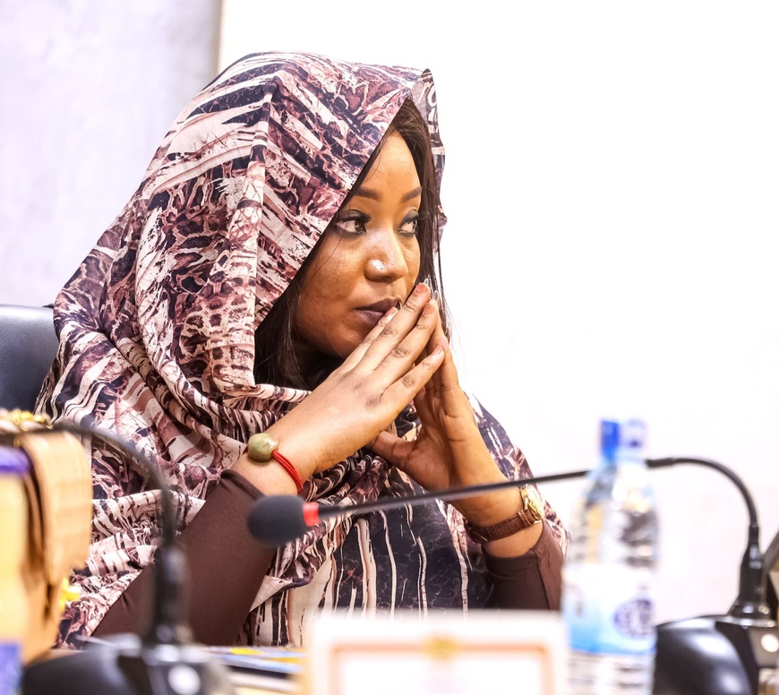 Tchad : réunion d’évaluation avec deux ministères Tchad : réunion d’évaluation avec deux ministères