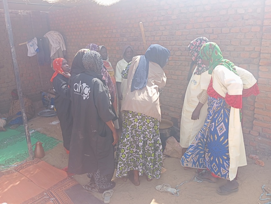 Tchad : L'AHA forme les femmes d'Adré à la transformation agricole : une initiative pour l'autonomisation et le développement Tchad : L'AHA forme les femmes d'Adré à la transformation agricole : une initiative pour l'autonomisation et le développement