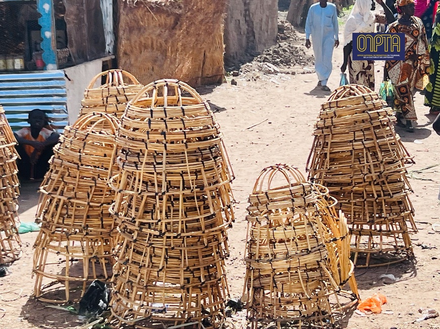 Image : ONPTA Image : ONPTA