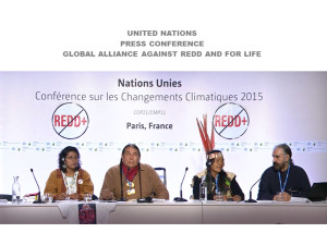 Indigenous Rights on Chopping Block of UN COP21 Paris Climate Accord Indigenous Rights on Chopping Block of UN COP21 Paris Climate Accord