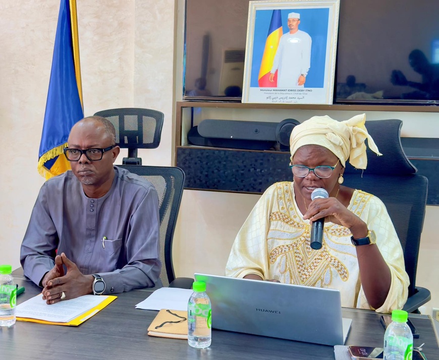 Tchad-Chine : vers une exploitation sécurisée des arachides et du sésame tchadien Tchad-Chine : vers une exploitation sécurisée des arachides et du sésame tchadien