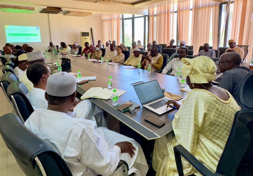 Tchad-Chine : vers une exploitation sécurisée des arachides et du sésame tchadien Tchad-Chine : vers une exploitation sécurisée des arachides et du sésame tchadien