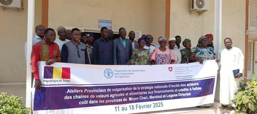 Tchad : au Moyen Chari, un atelier de vulgarisation de la stratégie nationale d'accès aux financements agricoles Tchad : au Moyen Chari, un atelier de vulgarisation de la stratégie nationale d'accès aux financements agricoles