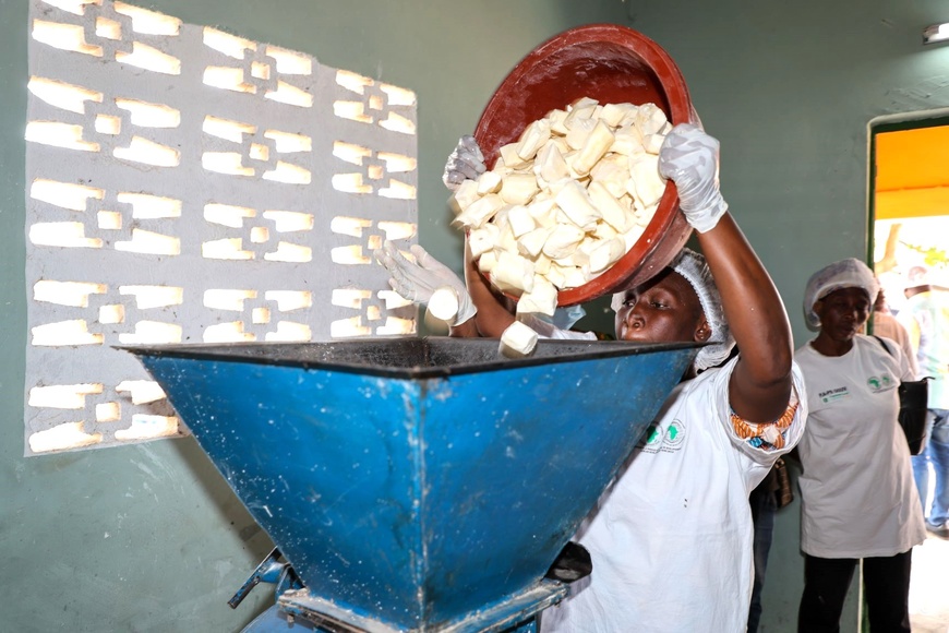 Côte d’Ivoire :  la BAD apprécie l’installation de l’unité de transformation de manioc de N’douci Côte d’Ivoire :  la BAD apprécie l’installation de l’unité de transformation de manioc de N’douci