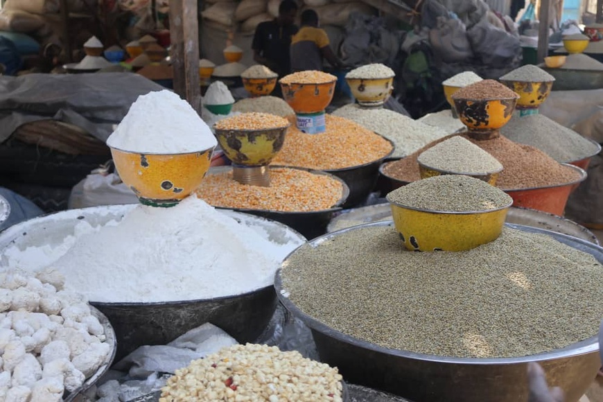 Tchad : Les ménages tchadiens face à la pauvreté, état des lieux et perspectives d'amélioration Tchad : Les ménages tchadiens face à la pauvreté, état des lieux et perspectives d'amélioration