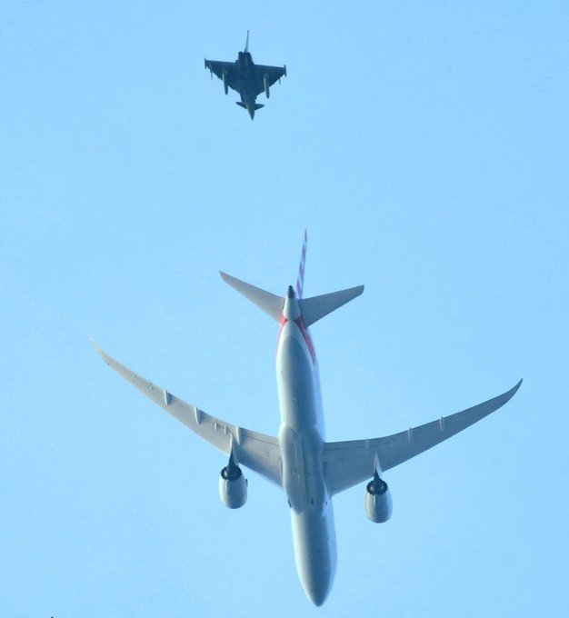 📷 pando_spotter 📷 pando_spotter