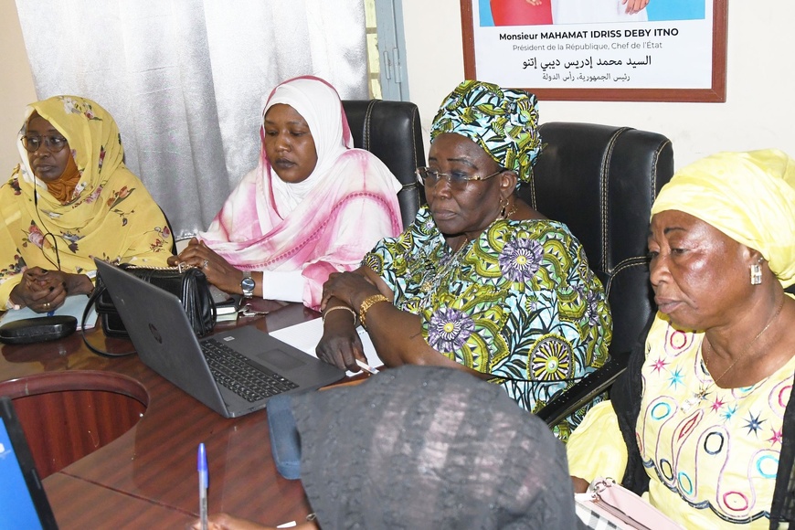 Tchad : Les femmes du Ministère des Infrastructures renforcent leurs compétences numériques pour la SENAFET Tchad : Les femmes du Ministère des Infrastructures renforcent leurs compétences numériques pour la SENAFET