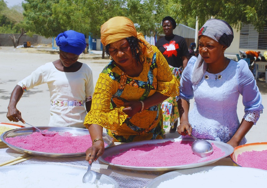 Tchad : SENAFET/JIF 2025 à Bol – Autonomisation des femmes grâce à la transformation de produits locaux Tchad : SENAFET/JIF 2025 à Bol – Autonomisation des femmes grâce à la transformation de produits locaux