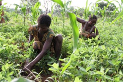Le CONGRES CENTRAFRICAIN POUR LE PROGRES ET LE RENOUVEAU (CCPR) répond au Cskm