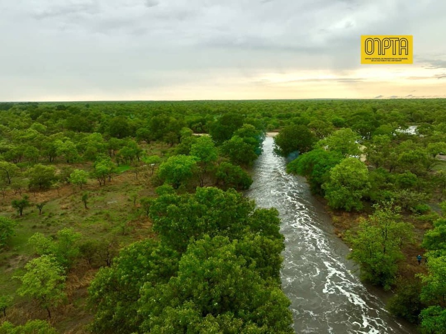 Images : ONPTA Images : ONPTA