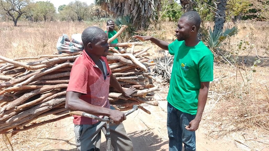 Tchad : Le COPIDEV se Mobilise pour la Préservation des Forêts à Sarh Tchad : Le COPIDEV se Mobilise pour la Préservation des Forêts à Sarh