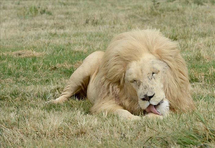 credit photo credit photo