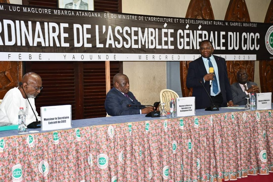 Cameroun : dans la filière cacao-café, le pays ambitionne de se maintenir au sommet de la pyramide Cameroun : dans la filière cacao-café, le pays ambitionne de se maintenir au sommet de la pyramide