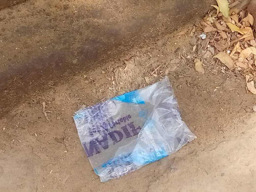 Tchad : à N’Djamena, un pas de plus en faveur de l’environnement ?