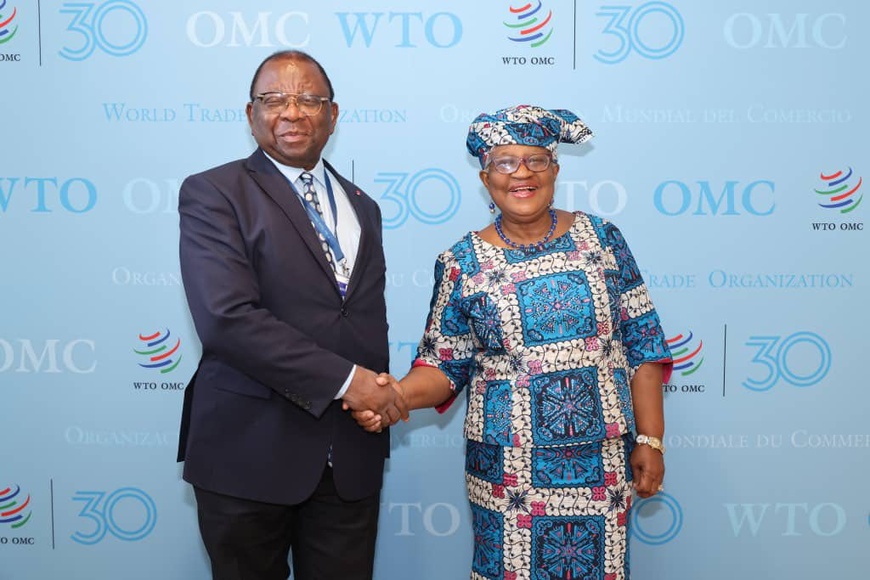 30ème anniversaire de l’OMC : les propositions du ministre camerounais du Commerce font sensation 30ème anniversaire de l’OMC : les propositions du ministre camerounais du Commerce font sensation