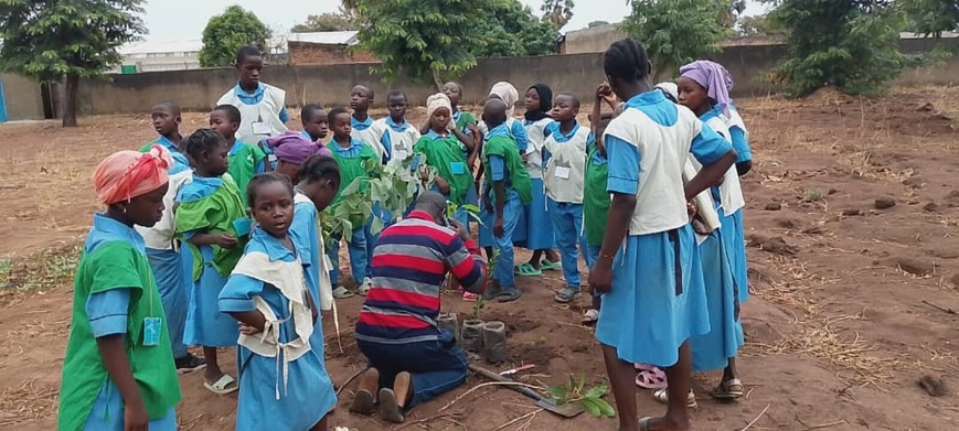 Tchad : Formation des élèves de l'École Catholique Associée de Bébédjia sur la pépinière Tchad : Formation des élèves de l'École Catholique Associée de Bébédjia sur la pépinière