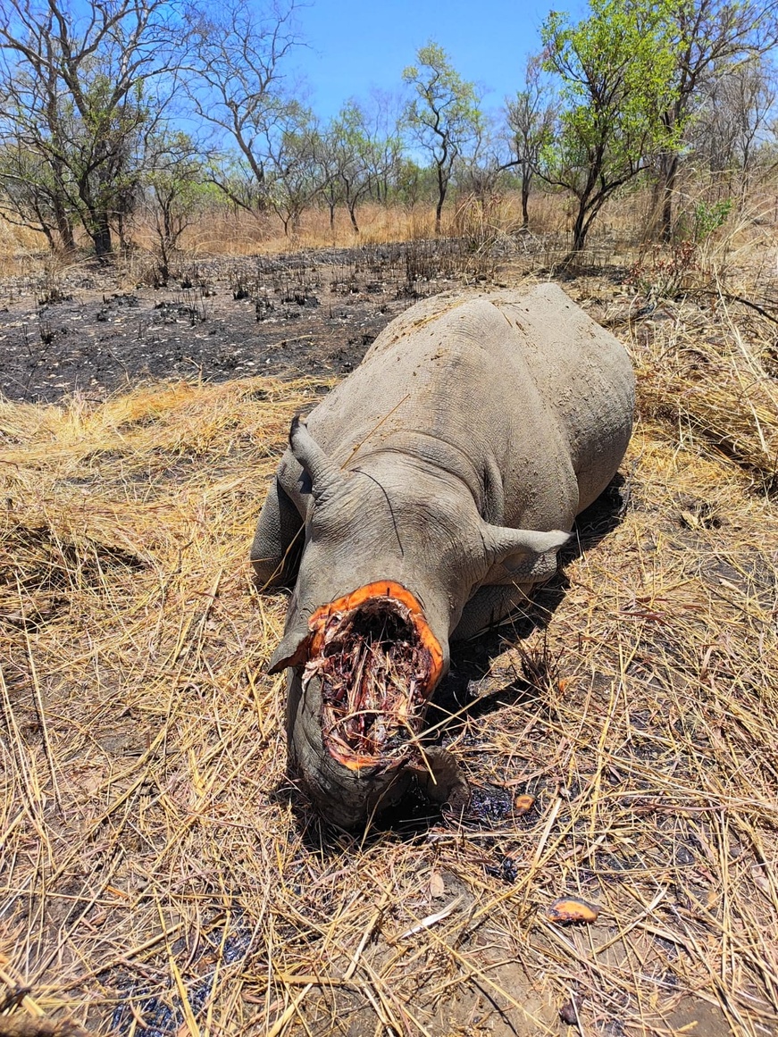 Tchad : Conflit homme-faune dans la Tandjilé : Mission du Ministre de l'Environnement Tchad : Conflit homme-faune dans la Tandjilé : Mission du Ministre de l'Environnement