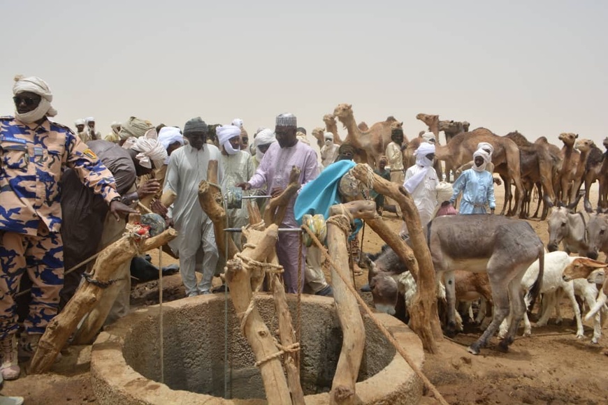 Tchad - Urgence sanitaire à Yiga Droussa : Analyse de l’eau après une mortalité alarmante de dromadaires Tchad - Urgence sanitaire à Yiga Droussa : Analyse de l’eau après une mortalité alarmante de dromadaires