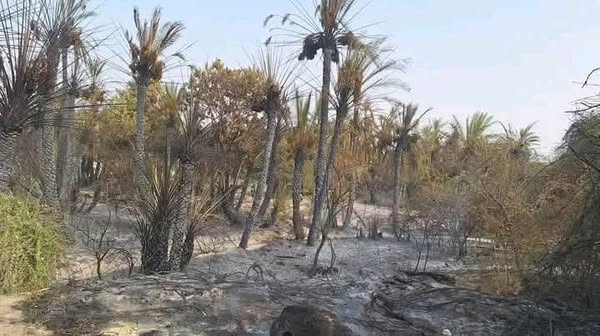 Tchad : Incendie à Mao détruit des cultures dans le Ouadi de Djougou Tchad : Incendie à Mao détruit des cultures dans le Ouadi de Djougou