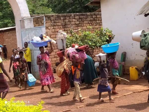 Image : Olinfo Image : Olinfo