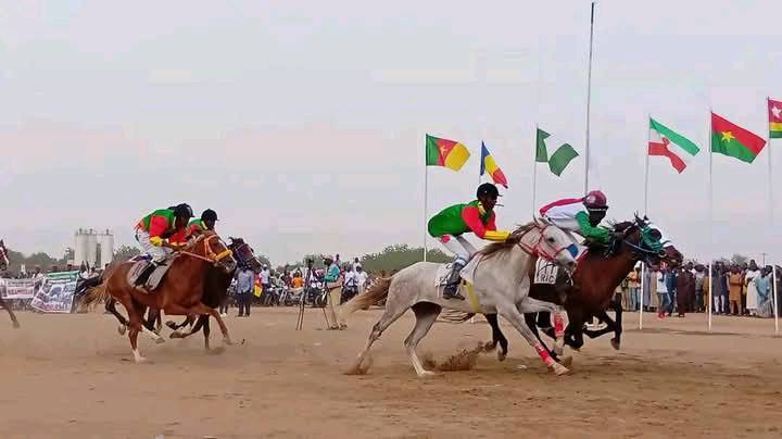 Cameroun - Succès du Grand Prix International Équestre à Maroua : Une vitrine régionale de la tradition hippique Cameroun - Succès du Grand Prix International Équestre à Maroua : Une vitrine régionale de la tradition hippique